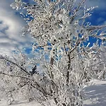 Дом отдыха Fela Mirror Designer Hideaway 1000 M Above Sea Level Aurdal
